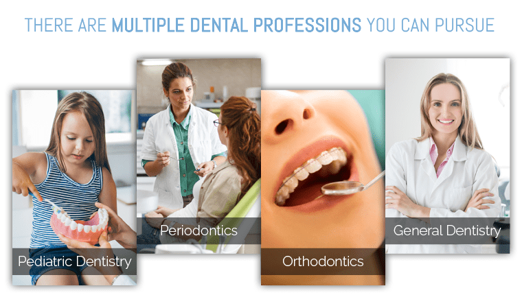There are multiple dental professions you can pursue to become a dentist